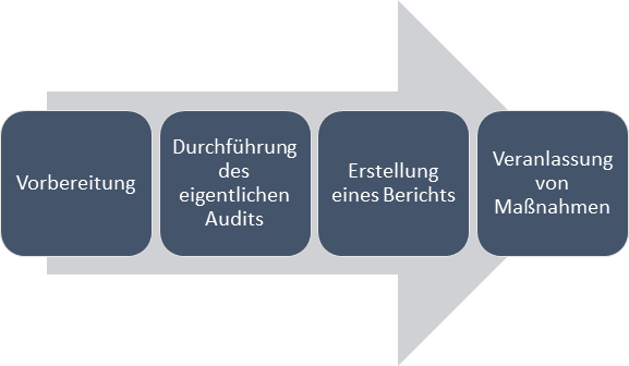 Audit Software Ablauf